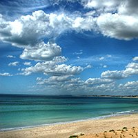 theme pic for article 10093