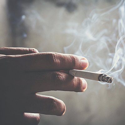 theme pic for article 10095