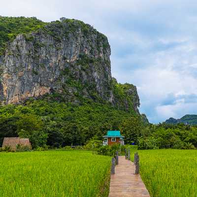 theme pic for article 10324