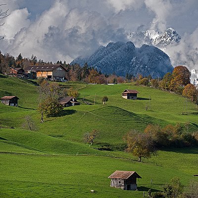 theme pic for article 11502