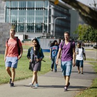 theme pic for article 2313