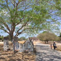 theme pic for article 4701