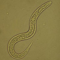 theme pic for article 4787