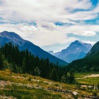 theme pic for article 4911