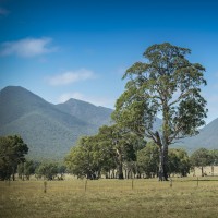 theme pic for article 5156