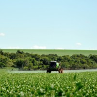 theme pic for article 5424