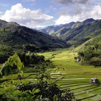 theme pic for article 5436