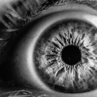 theme pic for article 6001