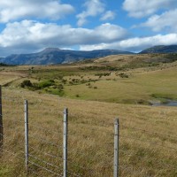 theme pic for article 6067