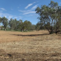 theme pic for article 6168