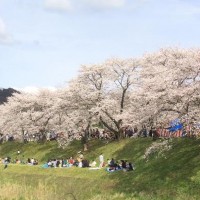 theme pic for article 6450