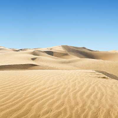 theme pic for article 7477