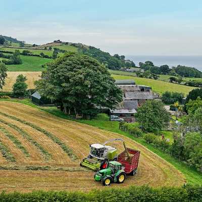 theme pic for article 8165