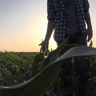 theme pic for article 8190