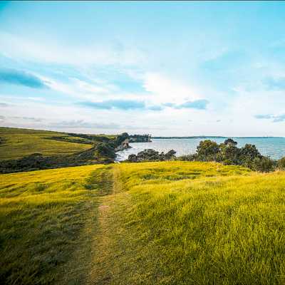 theme pic for article 8364