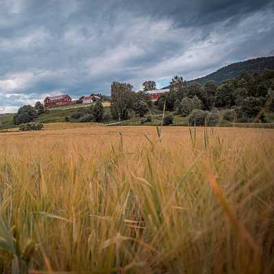 theme pic for article 9103