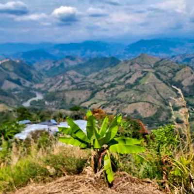 theme pic for article 9126