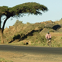 theme pic for article 9311