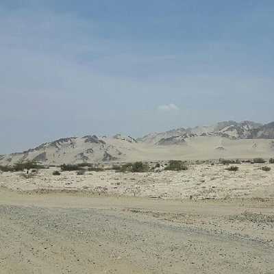 theme pic for article 9313