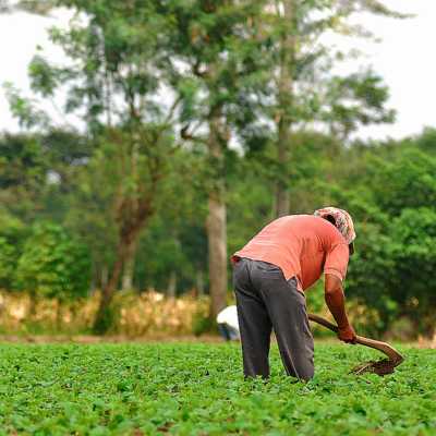 theme pic for article 9505