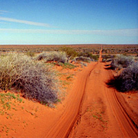 theme pic for article 9532