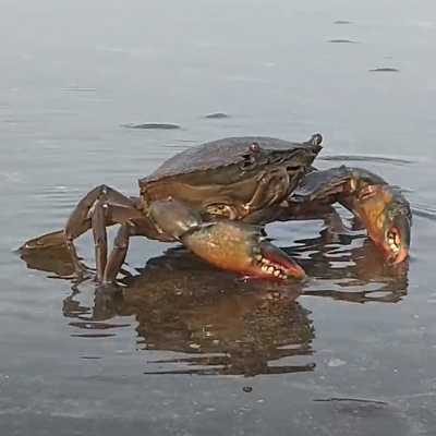 theme pic for article 9705