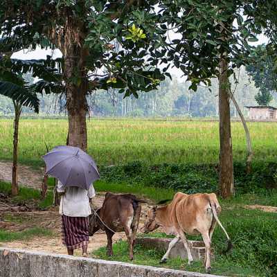 theme pic for article 9715