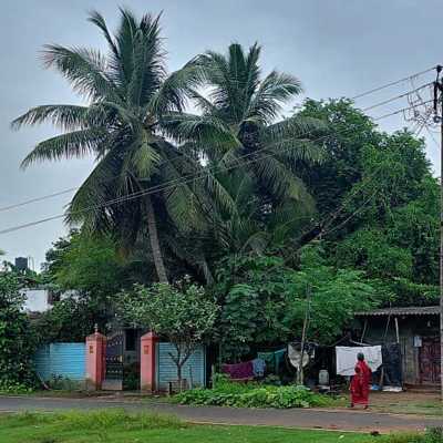 theme pic for article 9870