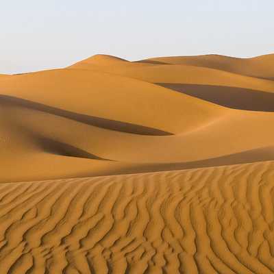 theme pic for article 9879