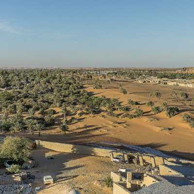 theme pic for article 9894